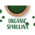 Anti-aging Super Greens Spirulina extract Powder Spirulina powder